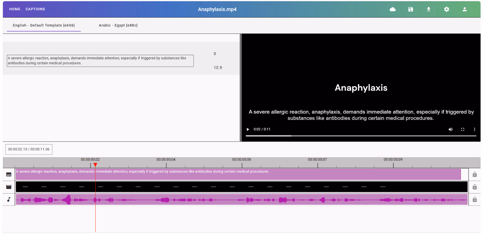 Version 1 interface of the Video Translation Application.